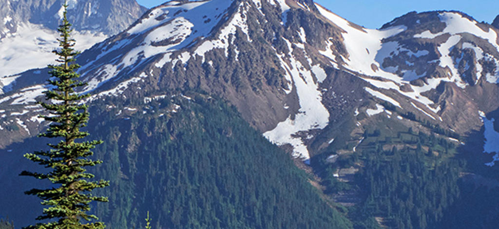 Hotels in Langley